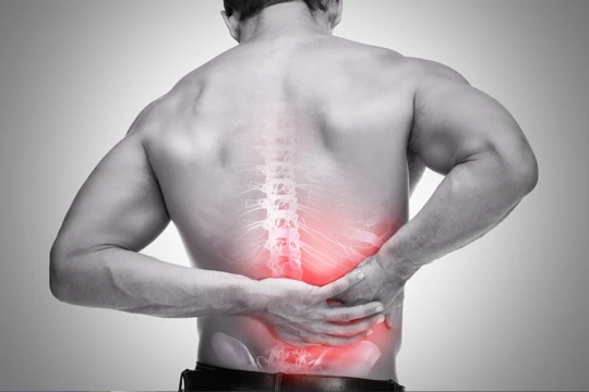 Person Holding The Lower Back