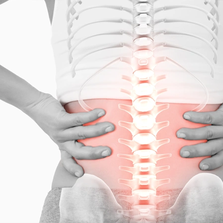 Person Holding The Lower Back